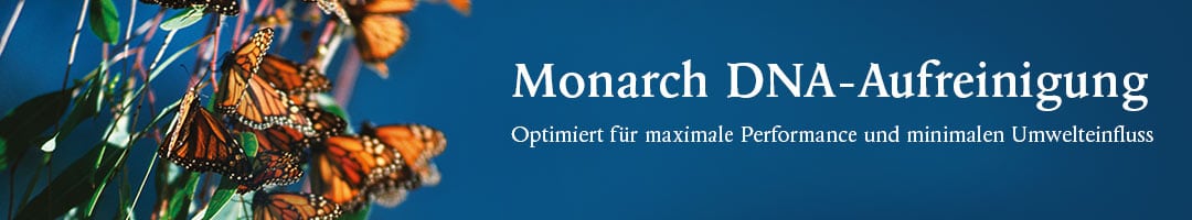 Banner Monarch