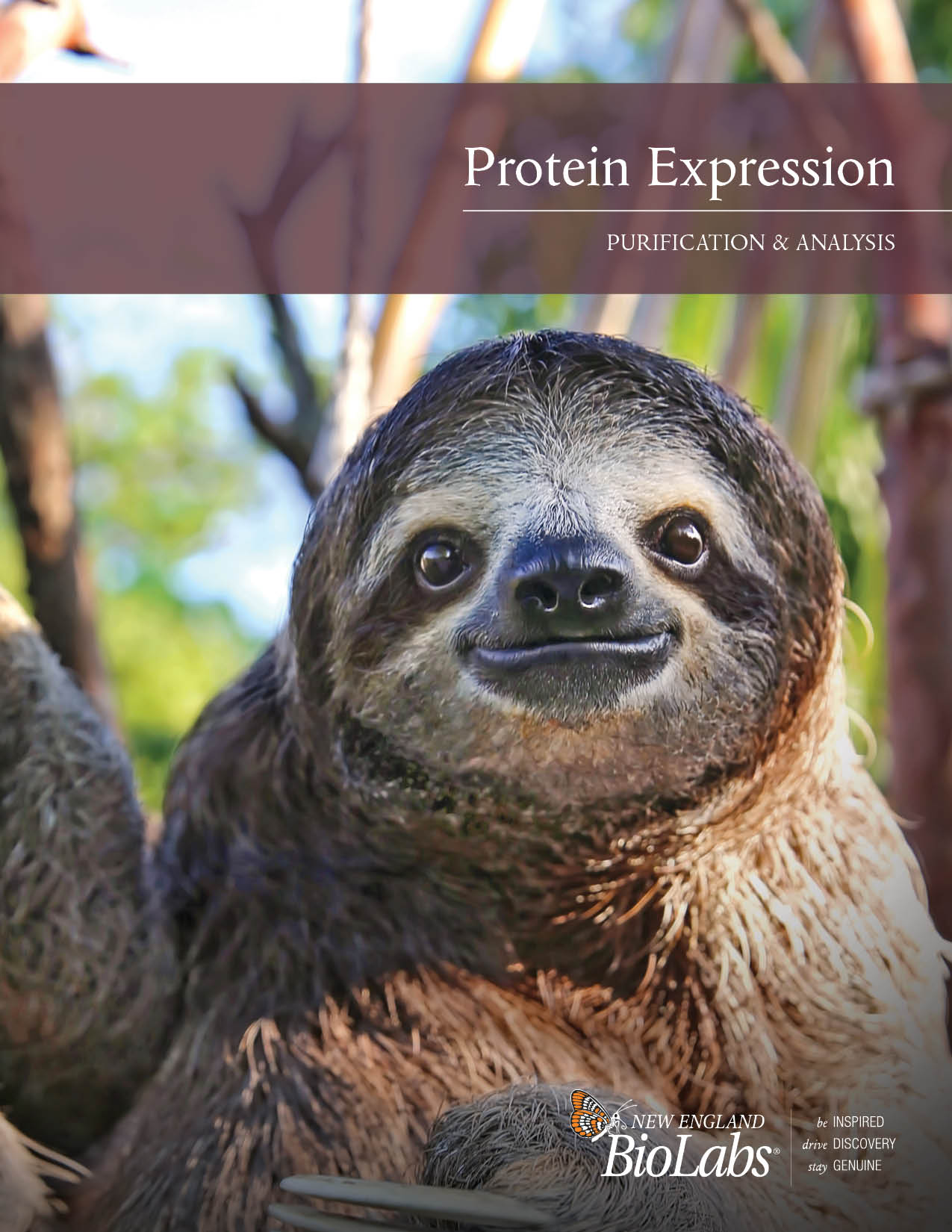 Protein Expression Broschüre