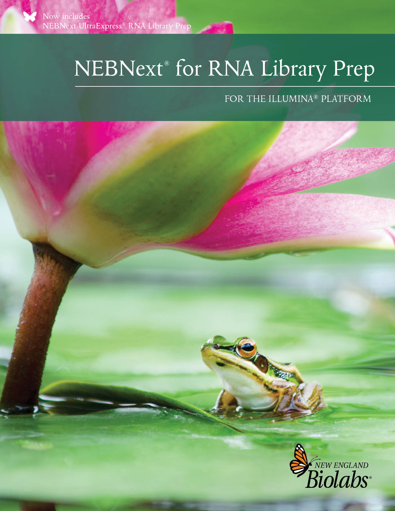 NEBNext RNA Illumina Broschüre