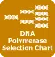 DNA Polymerase Selection Chart Logo