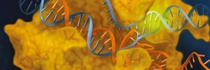 Genome Editing CRISPR Cas9