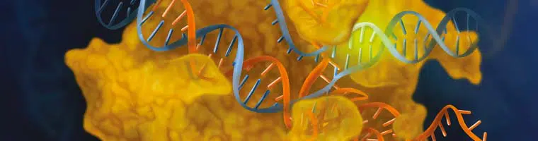 Genome Editing CRISPR Cas9