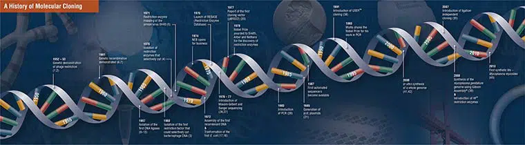 Zeitleiste Klonierung - A History of Molecular Cloning