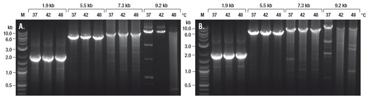NEB_MuLVRNaseH_image1a