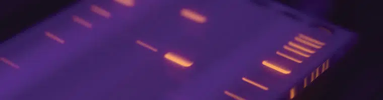 DNA Leitern Header