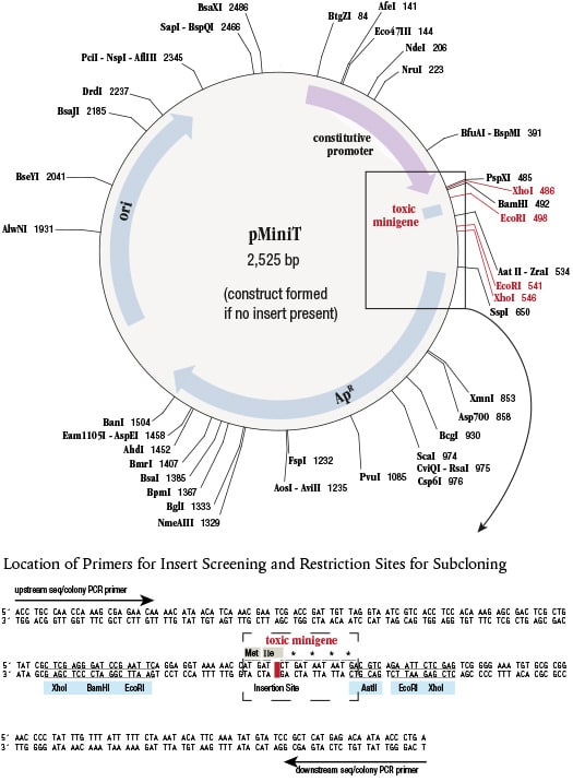 PCRCloningKit_Grafik