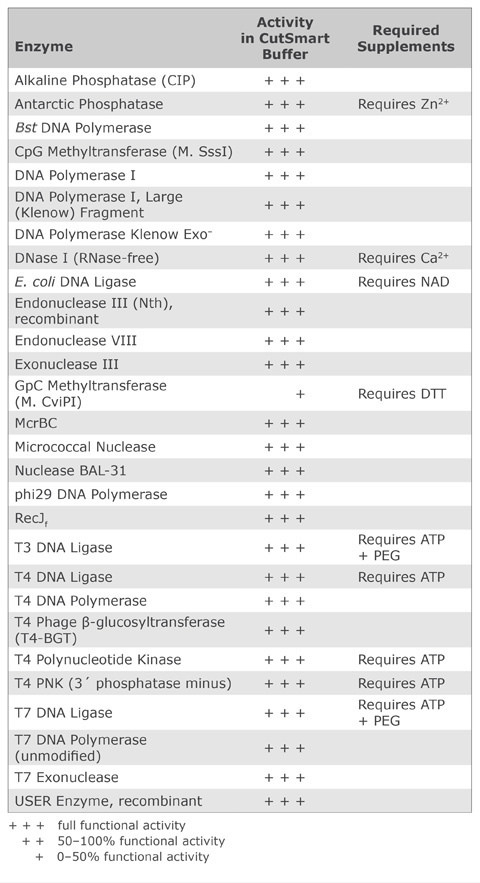 Neb Restriction Enzyme Chart