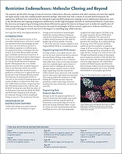 Original Publikation Restriktionsenzyme - Restriction Endonucleases: Molecular Cloning and Beyond