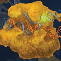 NEB_GenomeEditing_Icon_200x200px