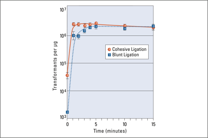 Save with NEB: DNA Ligases with 25% discount - New England Biolabs GmbH