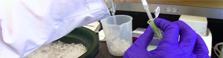 Monarch Total RNA Miniprep Kit