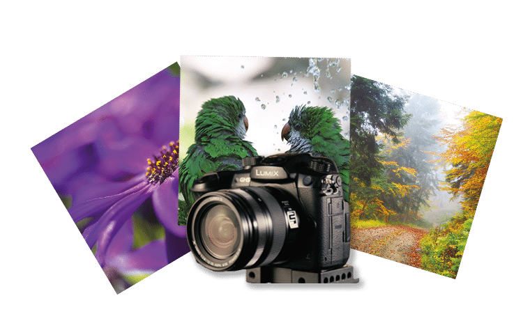 Fotowettbewerb_2024 Fotowettbewerb_2024