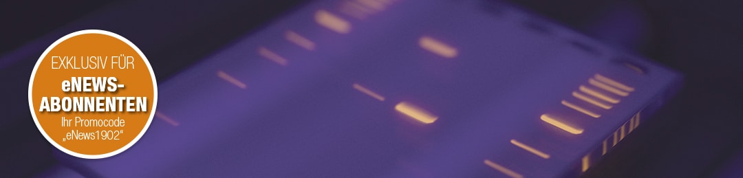 DNA-Leiter_Stoerer2