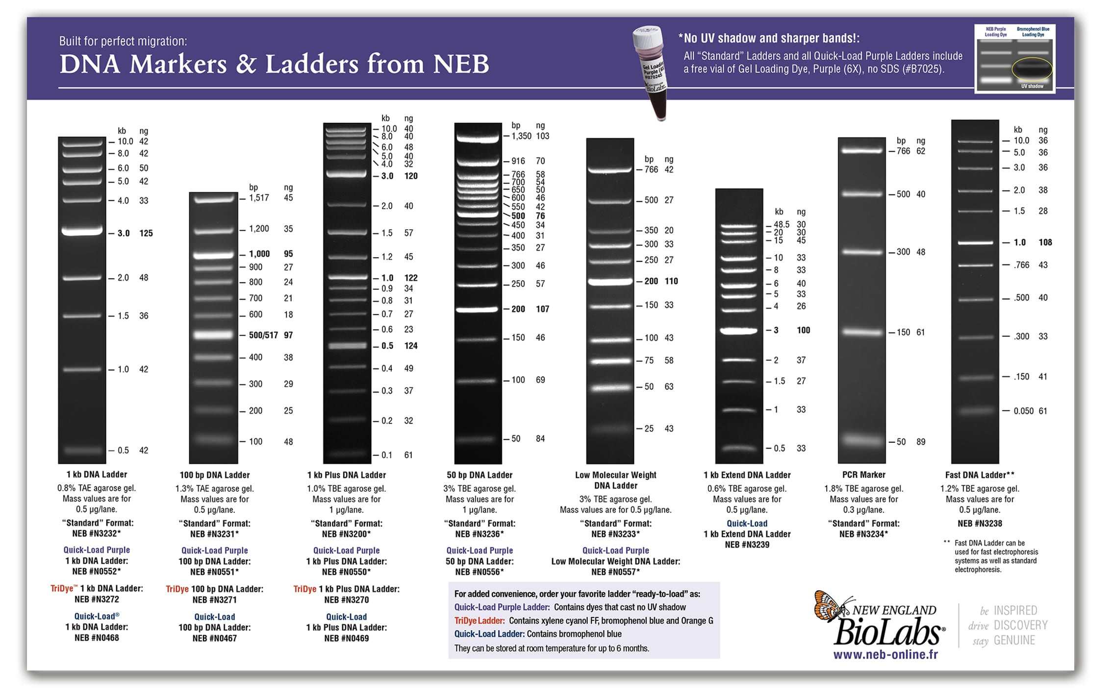 Magnetkarte_kleiner2