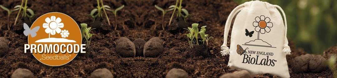 Slider_Seedballs_Saeckchen_V2