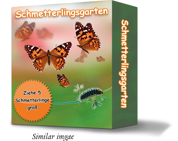 Schmetterlingsgarten_Symbolfoto_text_EN