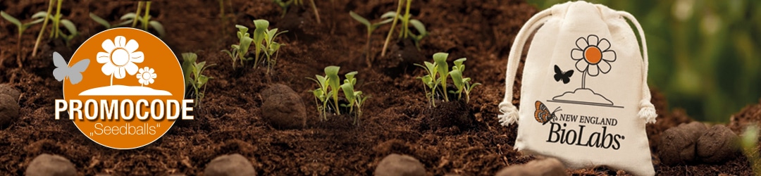 Slider_Seedballs_Saeckchen_V3