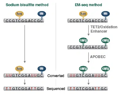 EM Seq vs. Bisulfite Sequencing