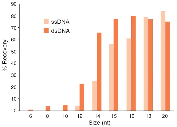 Aufreinigung von kurzer DNA mit Monarch