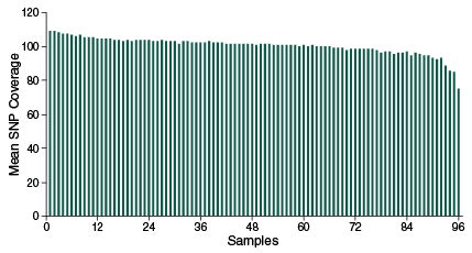 Genotyping by Sequencing SNP Coverage