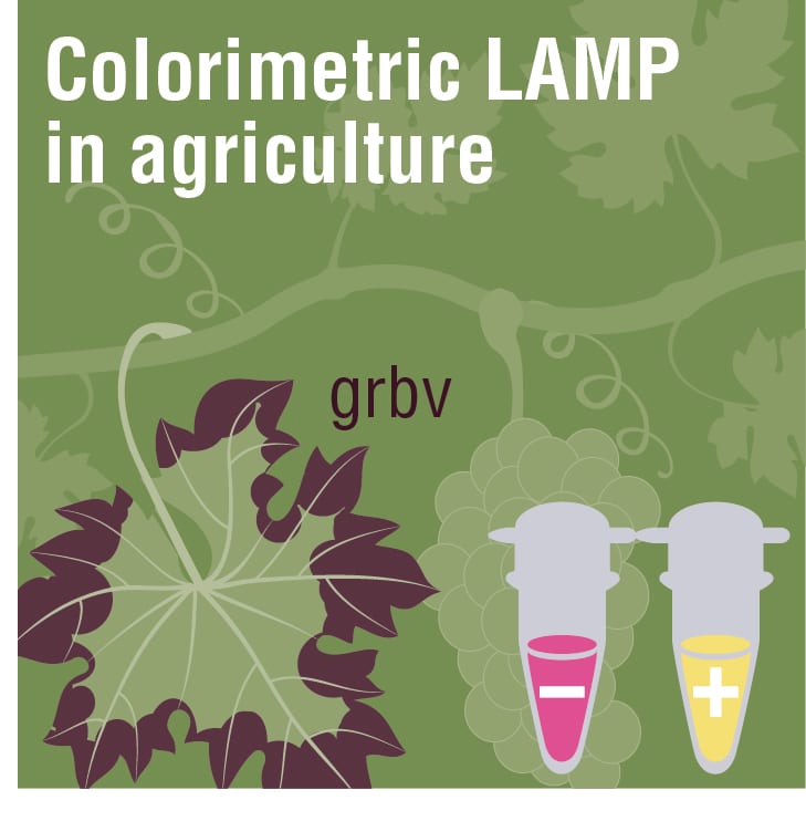 ColorimetricLAMPforAgriculture_1col_0820_bearb