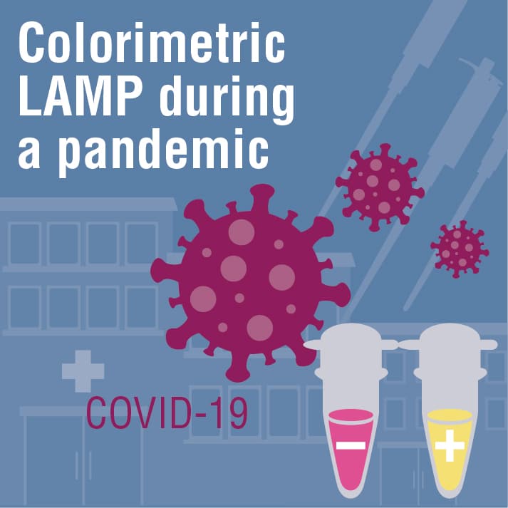 ColorimetricLAMPforPandemic_1col_0820_bearb