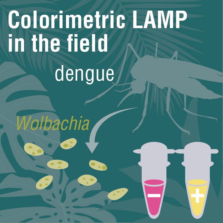 ColorimetricLAMPinField_1col_0820_bearb