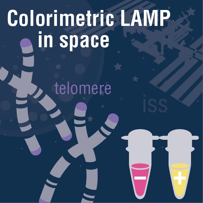 ColorimetricLAMPinSpace_1col_0820_bearb