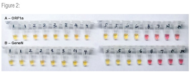 NEBExpression_Digital_Fall_2020_FeaturedArticle_Table2