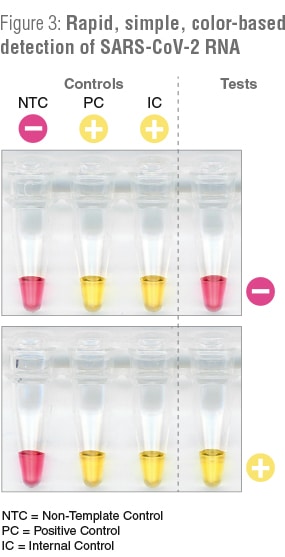 NEBExpression_Digital_Fall_2020_FeaturedArticle_Table3