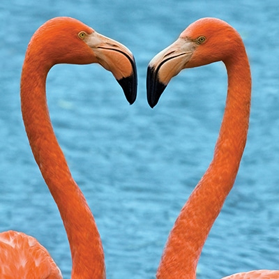 NSP_OneTaq NSP_OneTaq