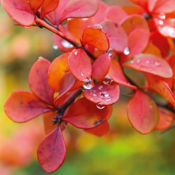 Fotokalender2025_Gewinner_SophiePaehlig Fotokalender2025_Gewinner_SophiePaehlig