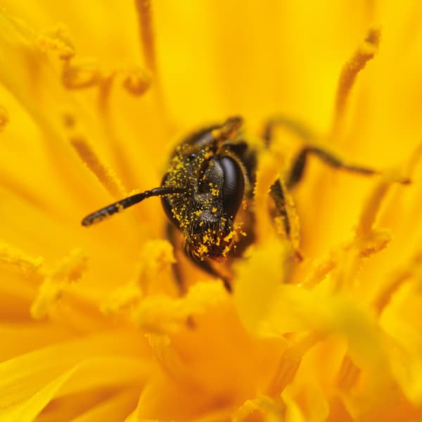 Fotokalender2025_Gewinner_TillEpprecht Fotokalender2025_Gewinner_TillEpprecht