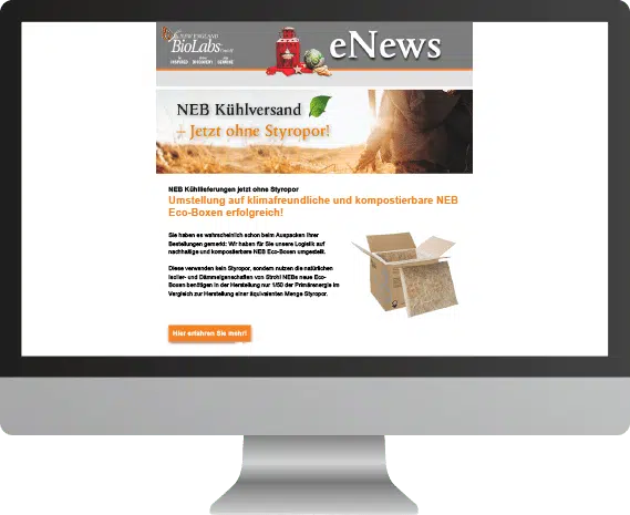 Newsletter Vorschau