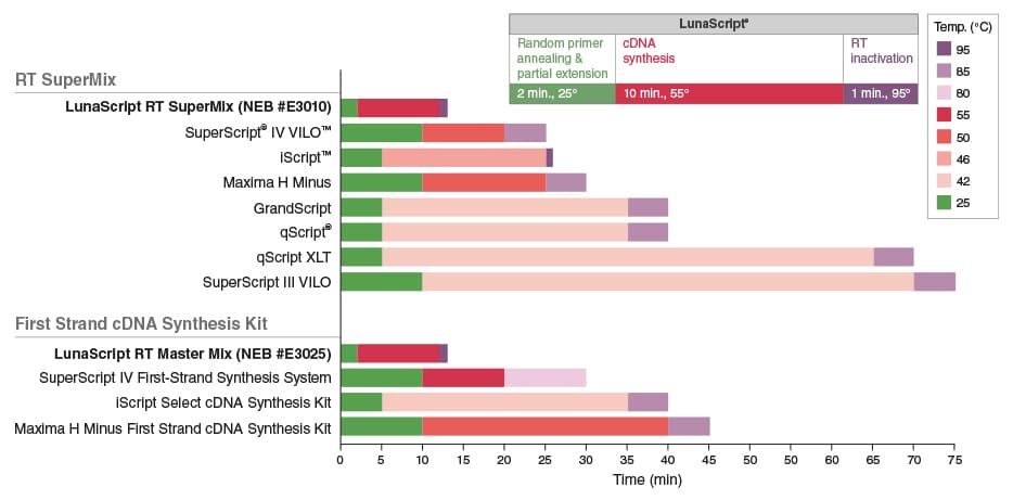 Herstellerempfehlung_cDNA-Sythese_V2 Herstellerempfehlung_cDNA-Sythese