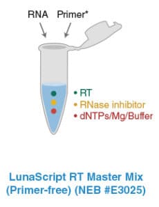 LunaScriptProdukte_E3025_V2 LunaScriptProdukte_E3025