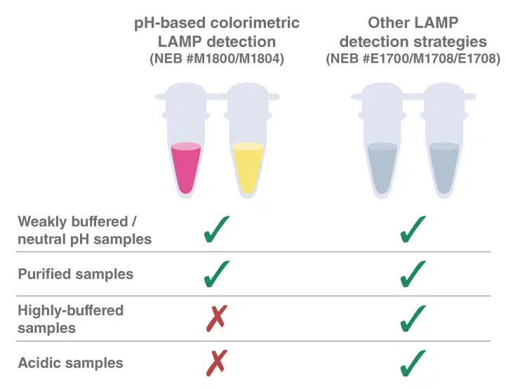 pH-Wert-abhängige colorimetrische LAMP Detektion