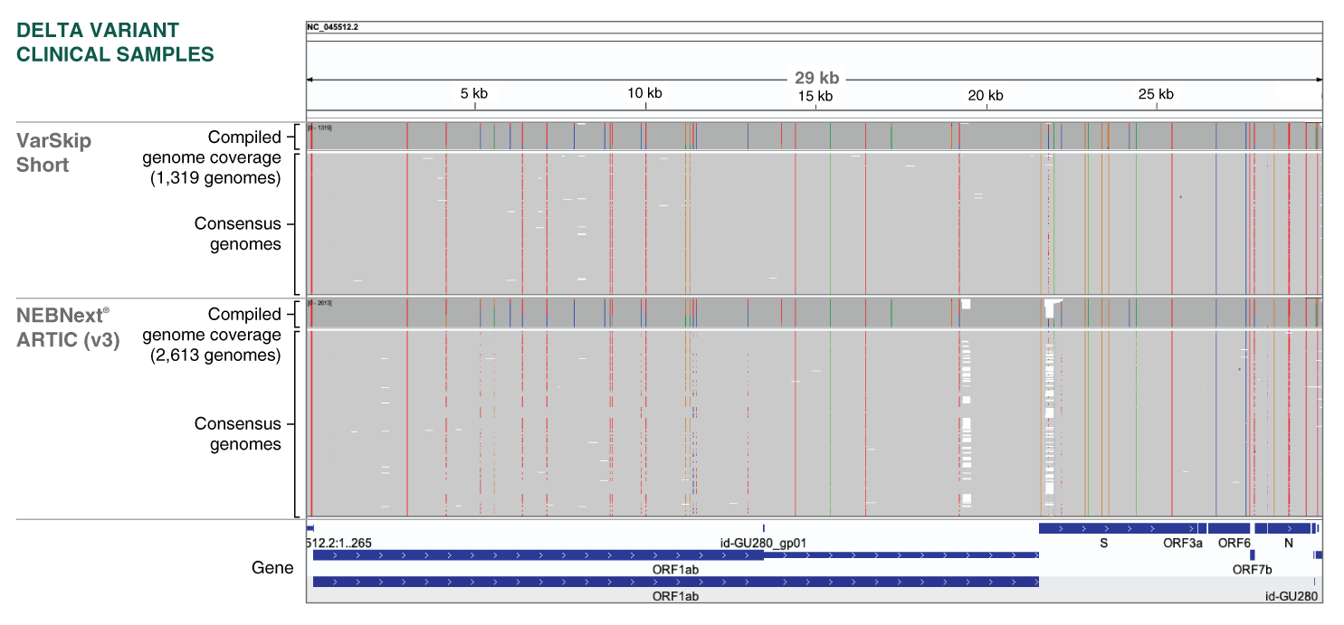 NEBNext_ARTIC_Delta_VarSkip_GenomeCoverage_0921