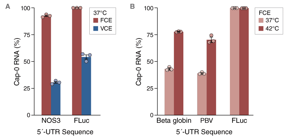 M0281_Fig1_FaustovirusCappingEnzyme_DifficultUTRsTemps_0722