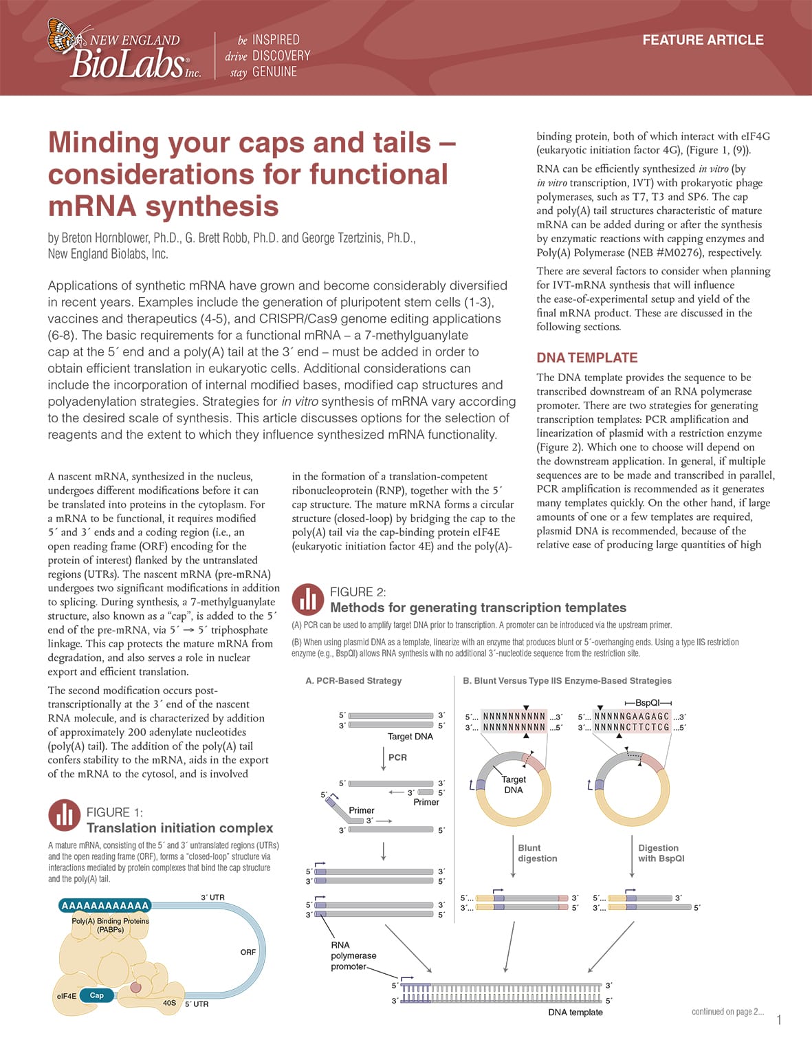 NEBexpressions_Feature_Handout_IssueIII_2021_RNA_CapsTails