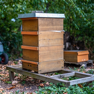 NEBees_Quadrat_Bienenkasten