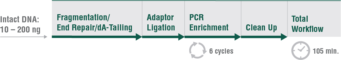 E3340_NEBNext_UltraExpress_FS_DNA
