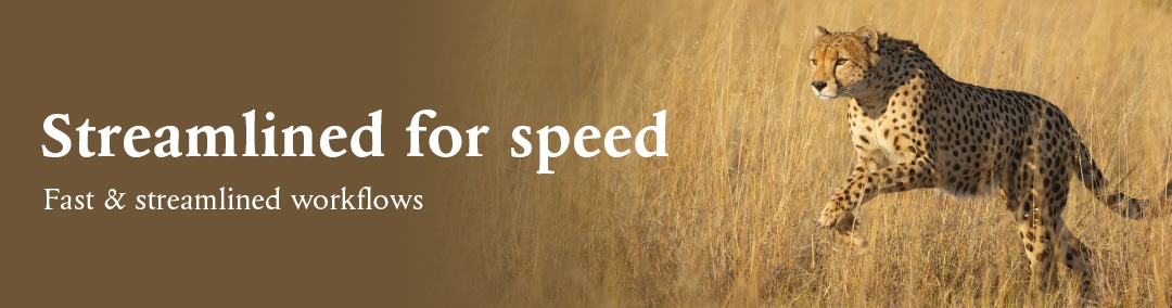 Homebanner_UltraExpress_2023_EN