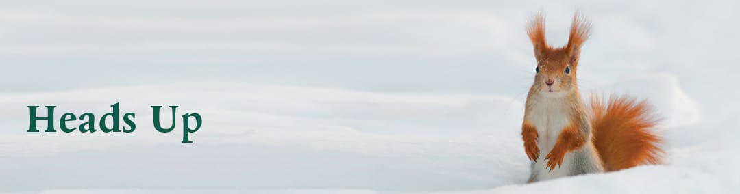 Homebanner_EM-Seq_2024