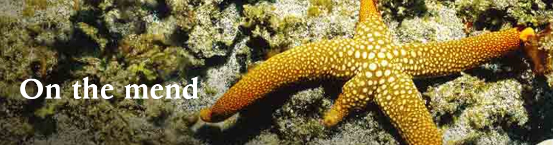 Homebanner_FFPE_2024