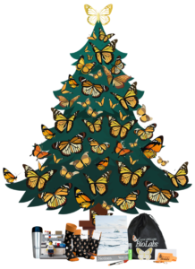 Schmetterlingsbaum_Preise