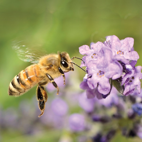 Sommerfit_Produktgruppen_CompCell Sommerfit_Produktgruppen_CompCell