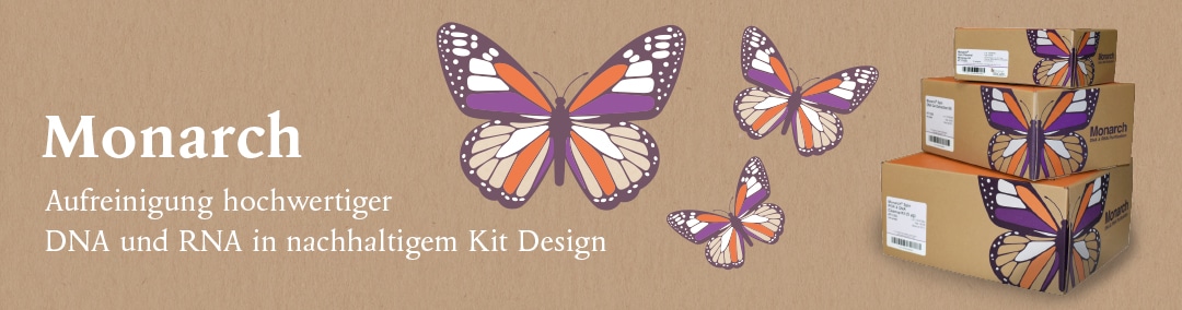 Homebanner_Monarch_2025