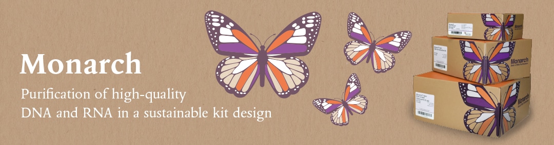 Homebanner_Monarch_2025