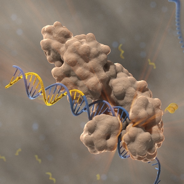 Confidence25_Produktgruppen